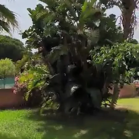 Apartment Au Chataignier Corse