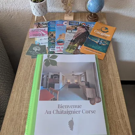 Au Chataignier Corse Apartment Vico