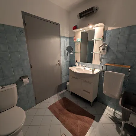 Au Chataignier Corse Apartment Vico