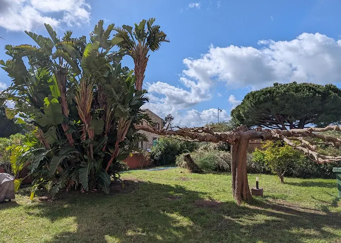 Apartman Au Chataignier Corse Vico