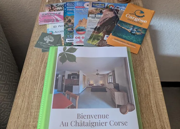 Au Chataignier Corse Apartmán Vico
